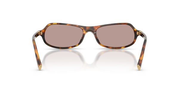MIUMIU- B10SU/S 14L20I HONEY HAVANA(LIGHT PURPLE BROWN 55*17, Havana, hi-res 3