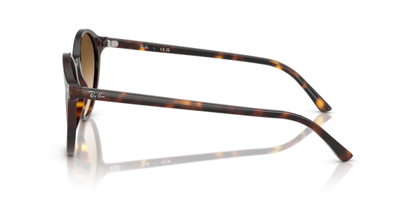 RB-2230 902/51 HAVANA(CLEAR GRADIENT BROWN 51*21, Havana, hi-res 2
