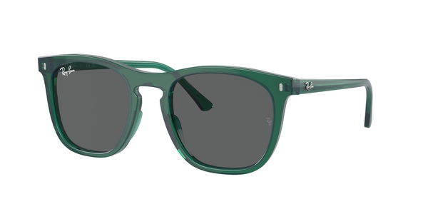 RB-2210 6615B1 TRANSPARENT GREEN(DARK GREY 53*21, Verde transparente, hi-res 0