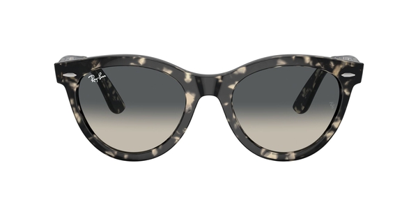 RB-2241 133371 GREY HAVANA(GREY GRADIENT 54*21, Gris havana, hi-res 1