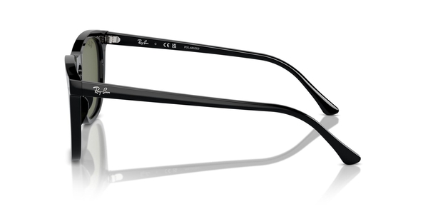 RB-2210 901/58 BLACK(POLAR GREEN 53*21, Negro, hi-res 2