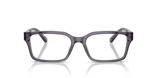 emporio-3244/g 6106 transparent dark grey 55*17
