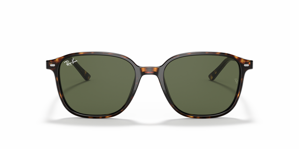 RB-2193 902/31 HAVANA(GREEN 53*18, Tortoise, hi-res 1