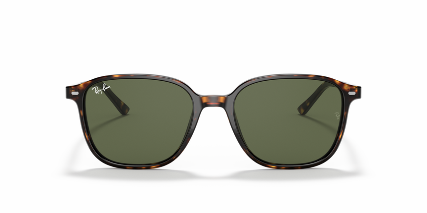 RB-2193 902/31 HAVANA(GREEN 53*18, Tortoise, hi-res image number 1