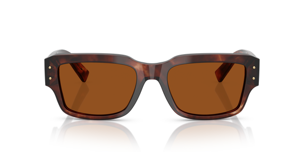 gabbana-4483/s 322273 dark red havana(dark brown 54*19