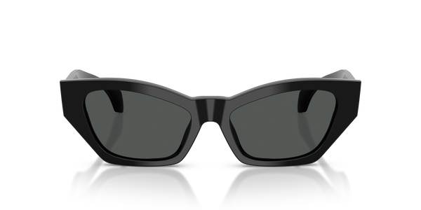 versace-4488u/s gb1/87 black(dark grey 53*17