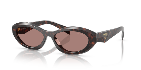 PRADA-26ZS/S 17N60B TORTOISE 55*16, Carey raíz, hi-res 0