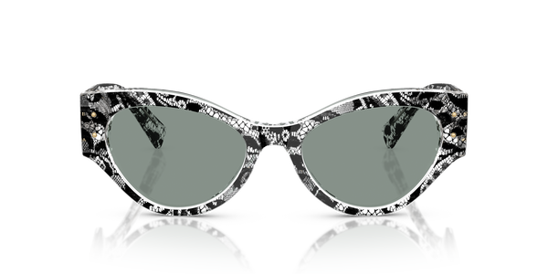 dolce & gabbana dg 4480