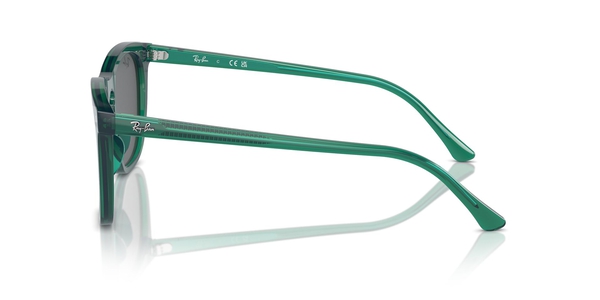 RB-2210 6615B1 TRANSPARENT GREEN(DARK GREY 53*21, Verde transparente, hi-res 2