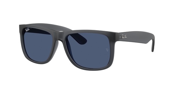 RB-4165 687380 OPAL GREY(DARK BLUE 55*16, Gris, hi-res 0