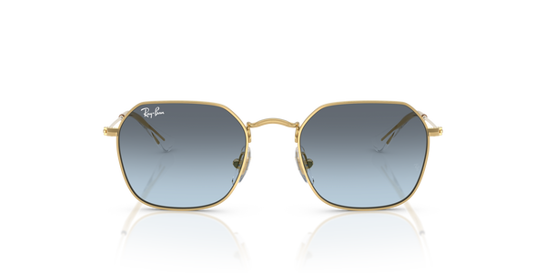 rj-9594s 223/v1 arista (blue gradient grey) 49*19