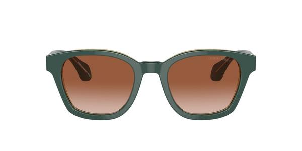 armani-8207/s 608613 top green/transparent olive(gradient brown 50*21
