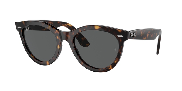 RB-2241 902/B1 HAVANA(DARK GREY 54*21, Havana, hi-res 0