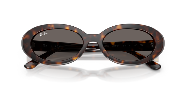 RB-2223 902/B1 HAVANA(DARK GREY 54*19, Havana, hi-res 4