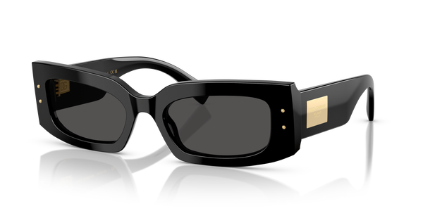 gabbana-4479/s 501/87 black(dark grey 55*20