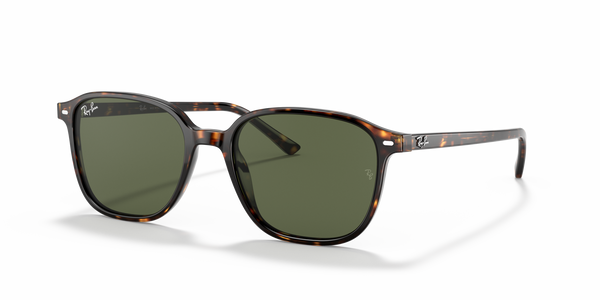 RB-2193 902/31 HAVANA(GREEN 53*18, Tortoise, hi-res 0