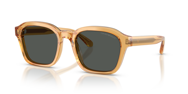 emporio-4245u/s 624687 shiny transparent yellow(dark grey 54*21