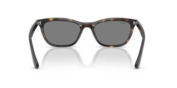 RB-4474D 710/87 HAVANA(DARK GREY 54*18, Havana, hi-res 3