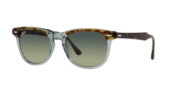 ray-ban eagle eye rb 2398