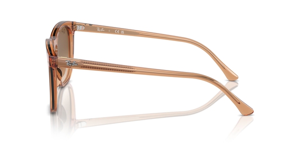 RB-2210 676451 TRANSPARENT BROWN(CLEAR GRADIENT BROWN 53*21, Marrón transparente, hi-res 2