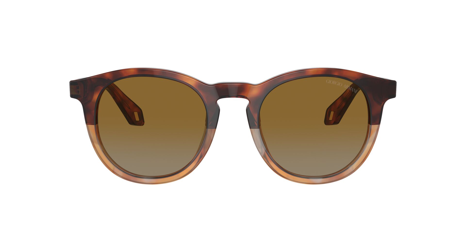 ARMANI-8192/S 6034B2 RED HAVANA/HONEY HAVANA(LIGHT GREY GRADIENT YELLOW 50*21, Havana rojo, hi-res image number 1