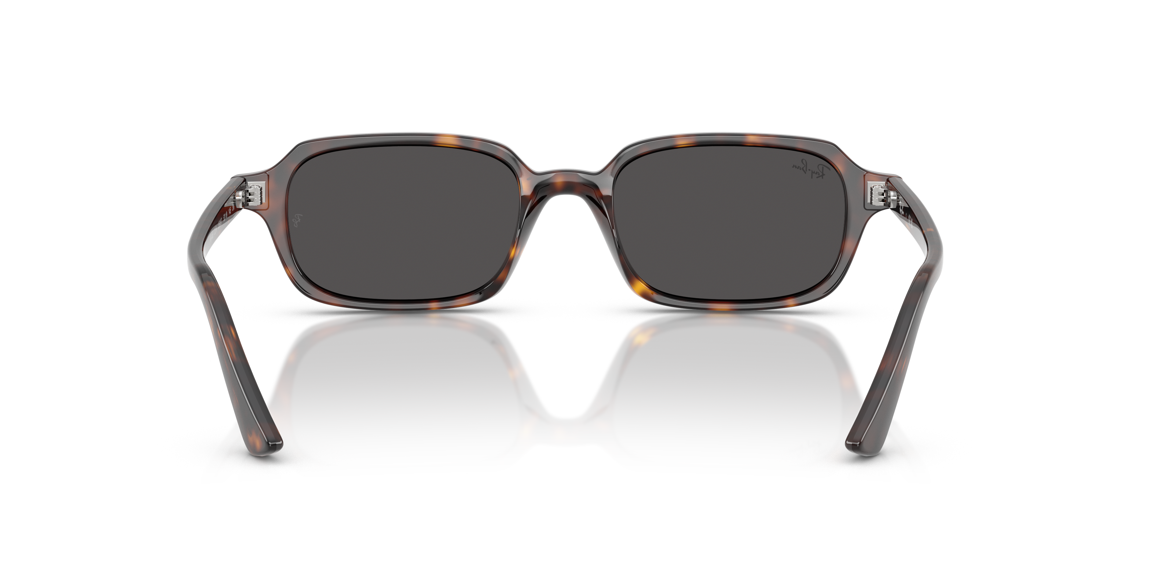 RB-4455 135987 HAVANA(DARK GREY 52*19, Havana, hi-res image number 3