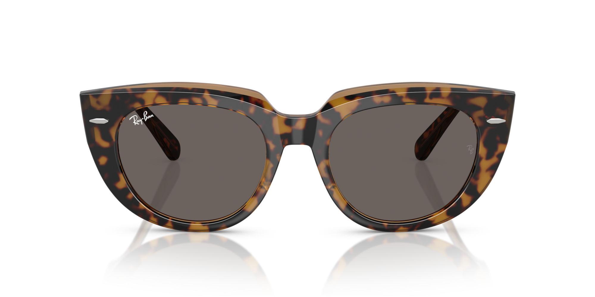 RB-2286 1292B1 HAVANA ON TRANSPARENT BROWN(DARK GREY 49*20, Havana | Marrón transparente, hi-res image number 1