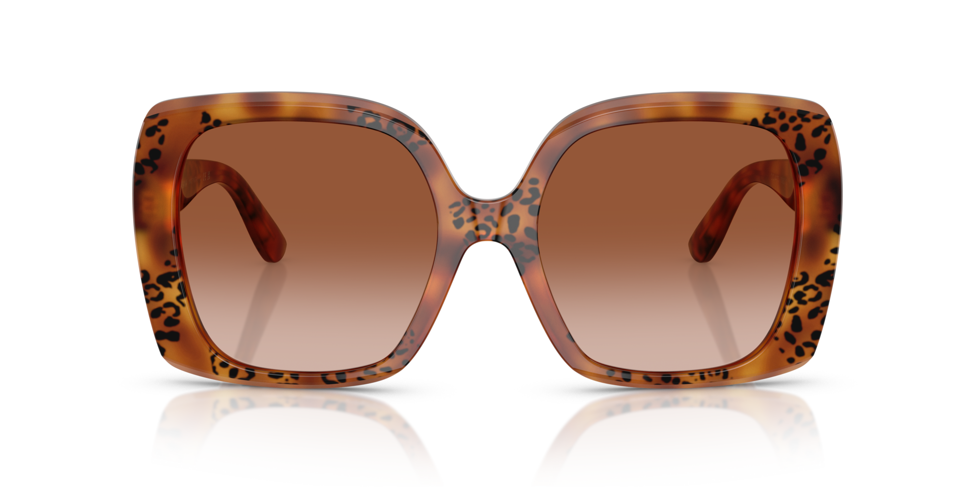 GABBANA-4475/S 338013 HAVANA LEO(BROWN GRADIENT 56*19, Havana leopardo, hi-res image number 1