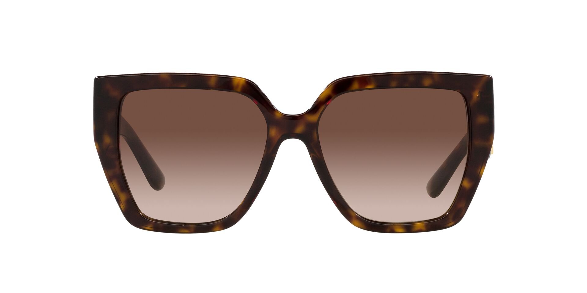 GABBANA-4438/S 502/13 HAVANA(GRADIENT BROWN 55*17, , hi-res image number 1