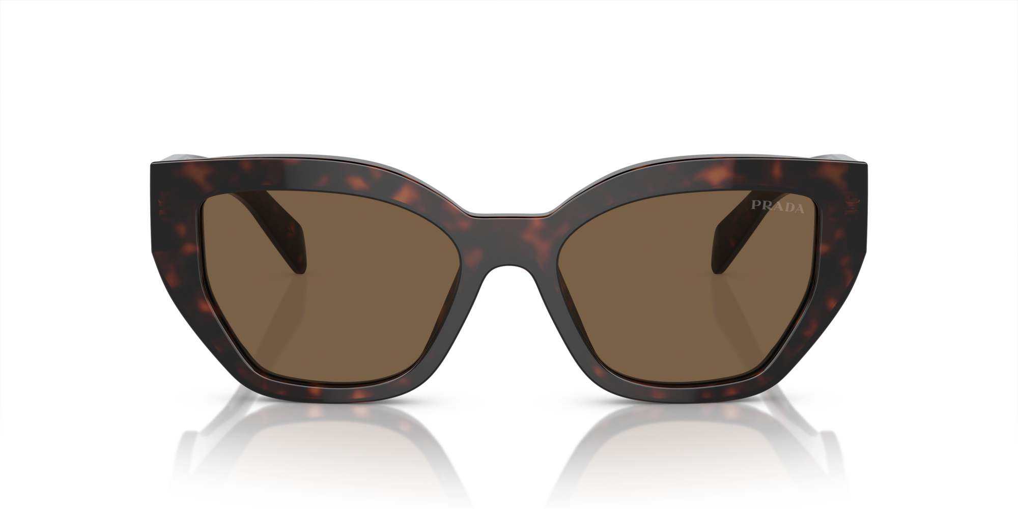 PRADA-A09S/S 16N5Y1 BROWN 53*18, Carey de brezo, hi-res image number 1