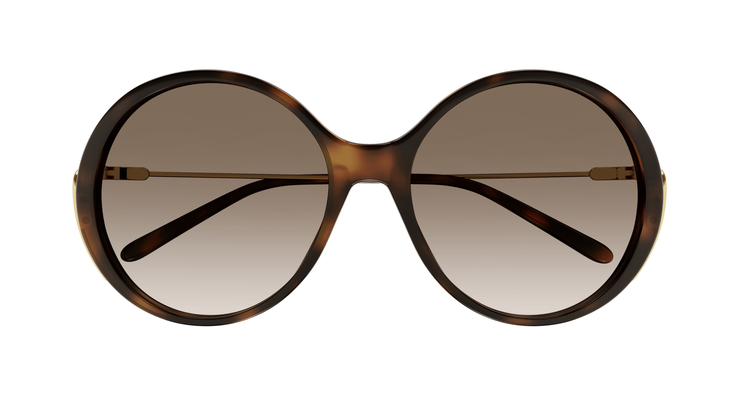 CHLOE-0171S/S 002 HAVANA 58*17, Havana, hi-res image number 1