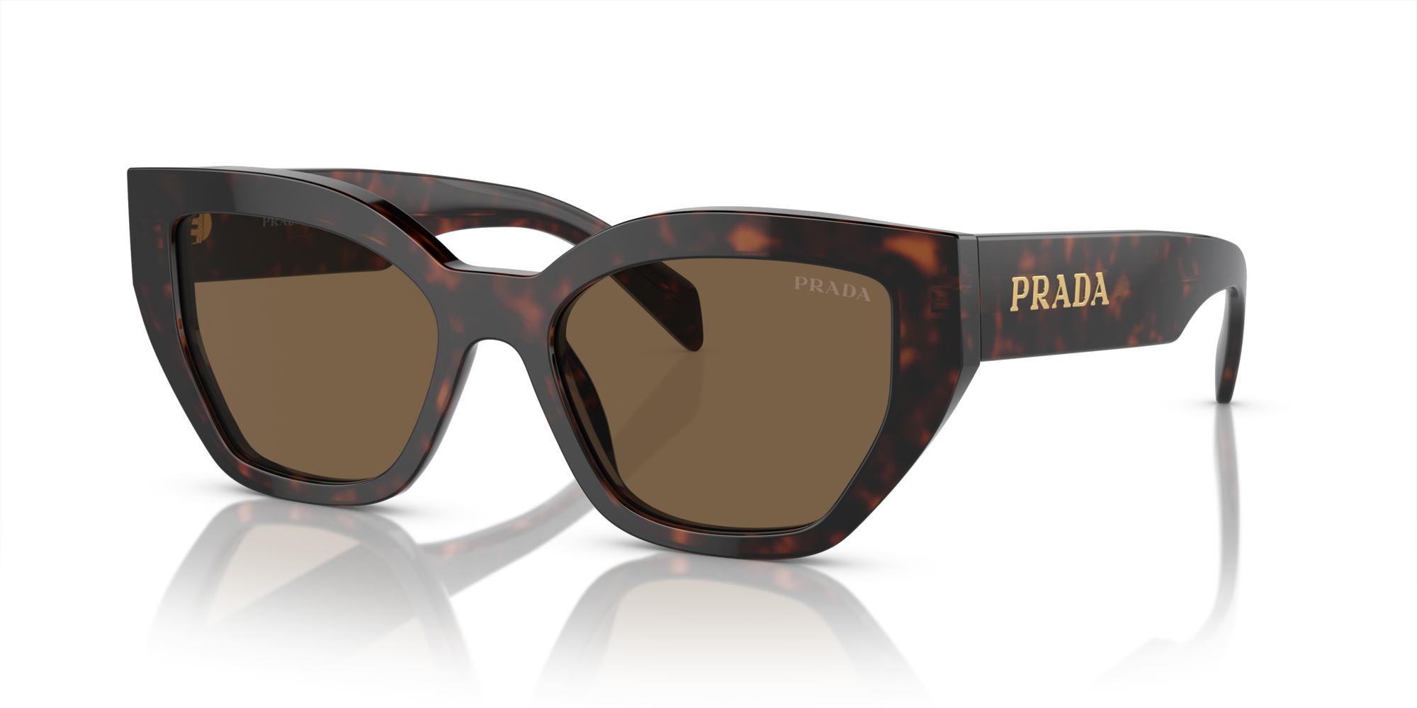 PRADA-A09S/S 16N5Y1 BROWN 53*18, Carey de brezo, hi-res image number 0