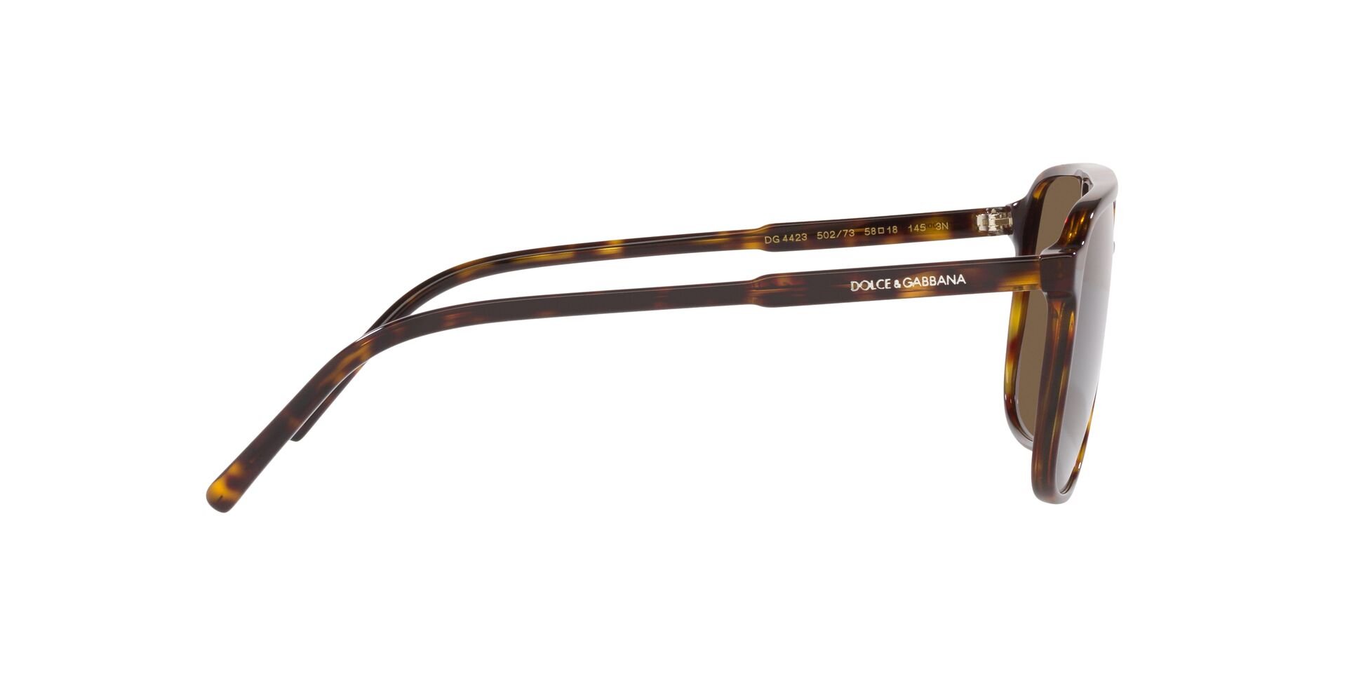 GABBANA-4423/S 502/73 HAVANA(DARK BROWN 58*18, , hi-res image number 2